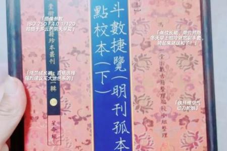 元亨利紫薇斗数