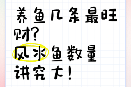 养风水鱼有什么讲究？