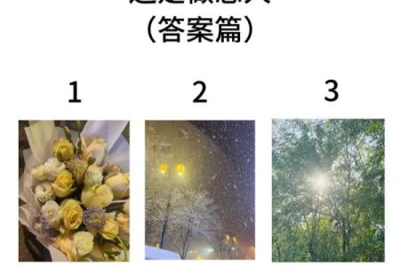 塔罗测试：感情中，你和TA之间还剩多少缘分？