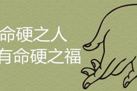 外表强势的八字女孩子命运
