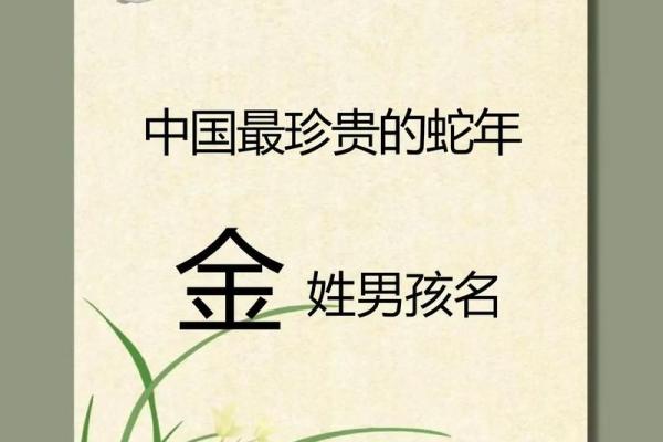 2019年3月23号巳时出生的男孩如何起名姓名