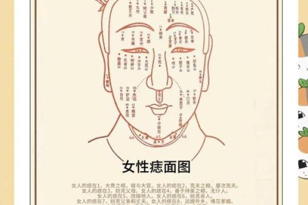 相面八字眉的面相解析与注重方法详解