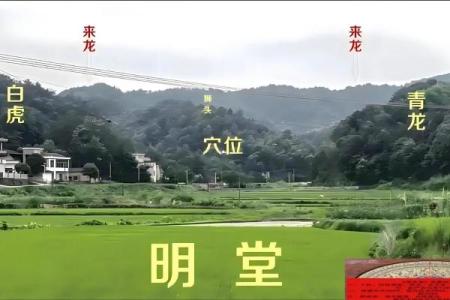 坟地风水方面的知识