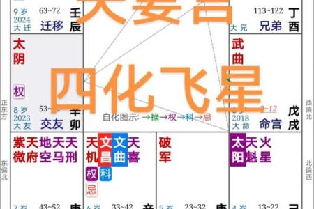 紫微斗数之：四化关系概论