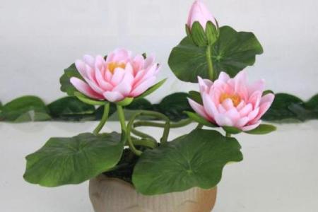 风水寺里摆放假花可以供佛吗