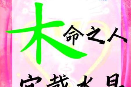 2024年立秋出生的男孩八字缺木怎么取名？五行缺木有什么影响？