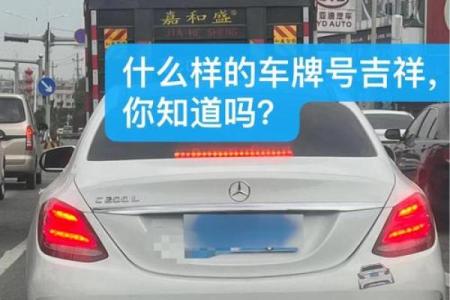车牌号码免费吉凶测试