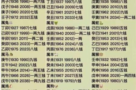 八字命名