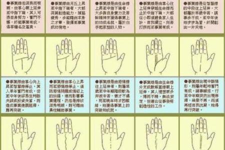 怎么看手相女八字命理详解