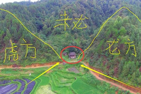风水中青龙与人之富贵贫贱寿夭