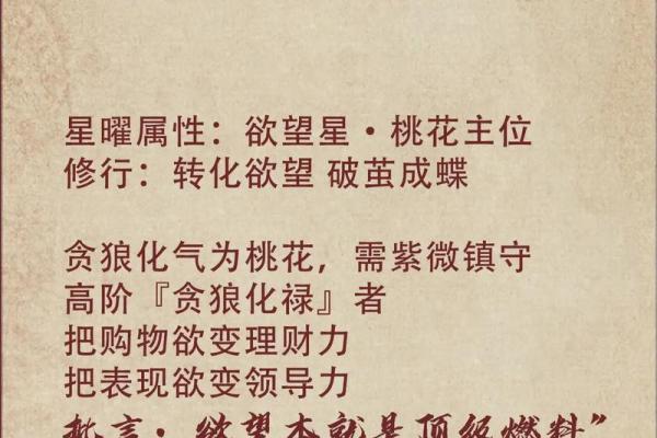 紫薇斗数投资理财高手