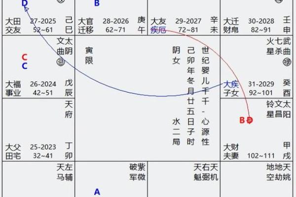 紫薇斗数排盘科权是什么意思