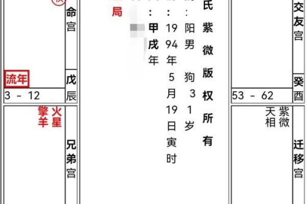 紫微命盘查询免费算命