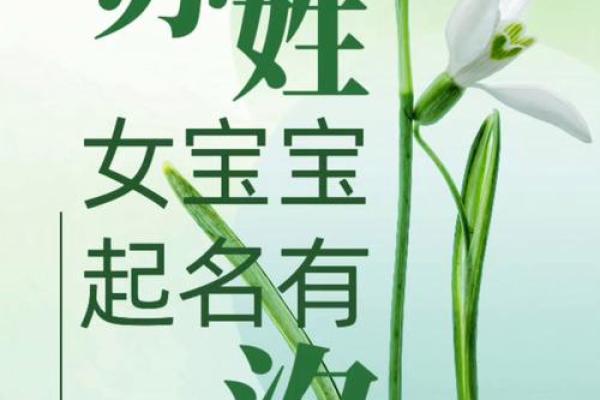 苏姓女孩名字大全-苏姓女孩起名字大全-苏姓名字大全姓名