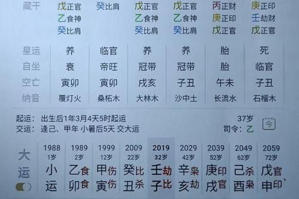 什么八字的人个子高 八字高个人