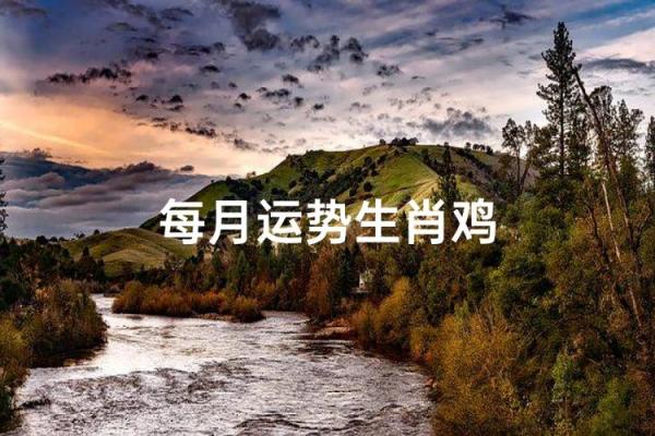 算命婚姻鸡