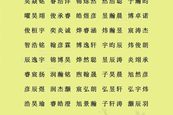 2019年4月25号寅时出生的男孩如何起名姓名