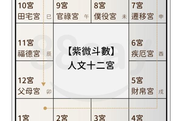 怎么排紫微斗数命盘快 紫微斗数快速排盘法？
