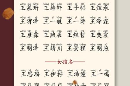 中午1点出生的属蛇男孩该如何起名，宜用什么字姓名