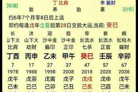 八字怎么算命