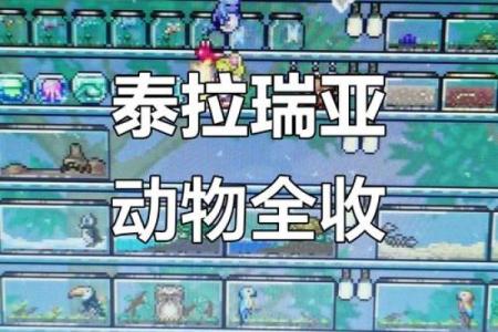 紫微斗数之预测灾厄：动物伤害