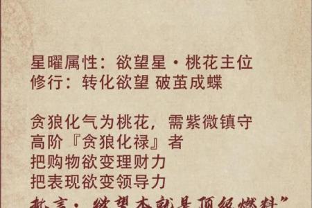 紫薇斗数投资理财高手