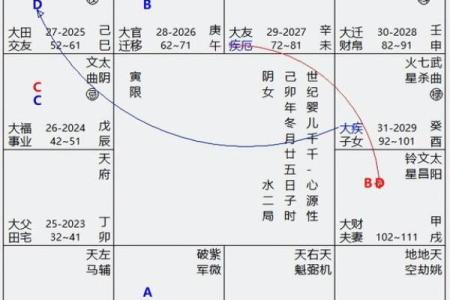紫薇斗数排盘科权是什么意思