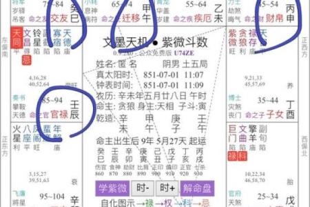 赵雅芝紫薇斗数