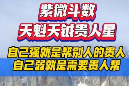 紫微斗数关于天魁天钺星的部分解析