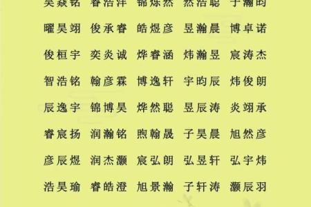 2019年4月25号寅时出生的男孩如何起名姓名