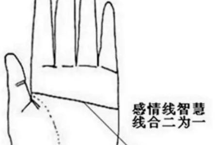 女人断掌手相算命图解