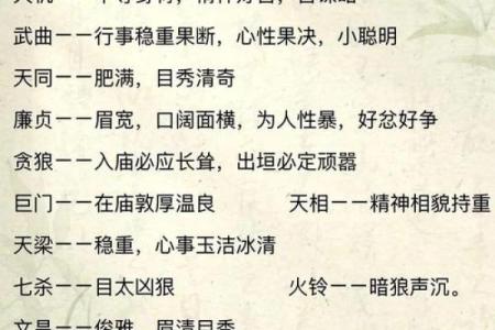 紫薇斗数正耀