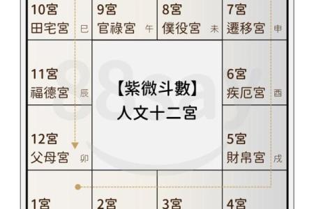 怎么排紫微斗数命盘快 紫微斗数快速排盘法？