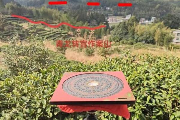 风水坟地八大富贵格局