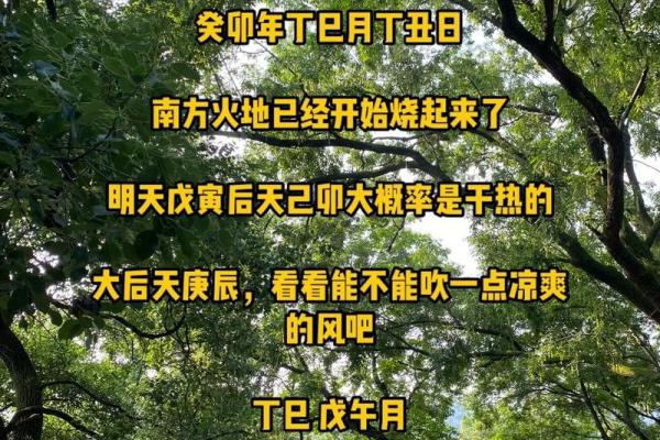 汕头算命