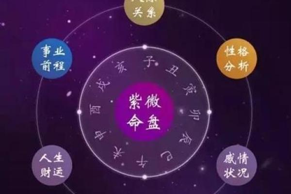 紫薇斗数紫府