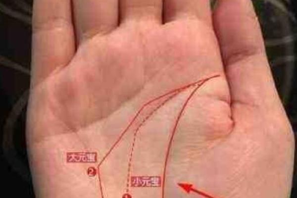 图解：手相金星环算命
