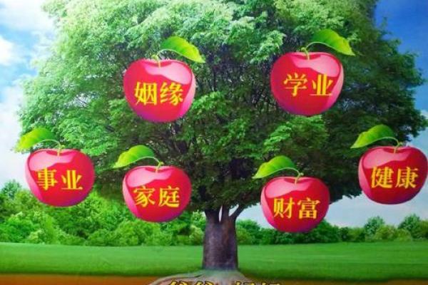 风水基础知识_请问在家长期供奉去世的父母照片好不好