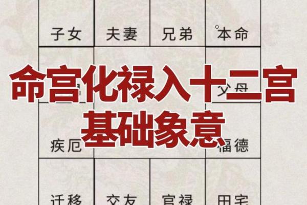 紫薇斗数化禄星
