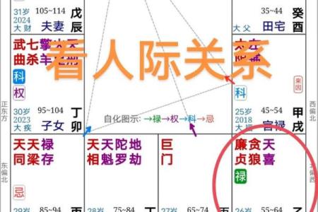 紫薇斗数平什么意思