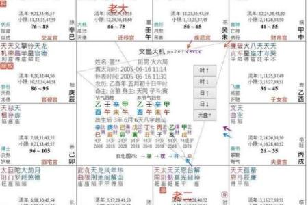 z紫薇斗数排盘