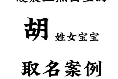 胡姓女孩名字大全-胡姓女孩起名字大全-胡姓名字大全姓名