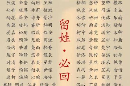 属鼠卯时出生的男孩取名的小诀窍姓名