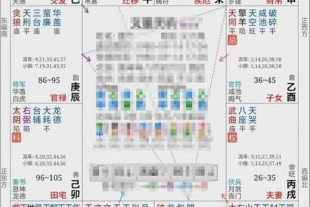 紫微斗数案例42财官：如此命盘，你将获得一张顶级财运体验卡