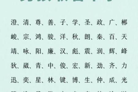 晚上1点出生的属鼠男孩取名大全姓名