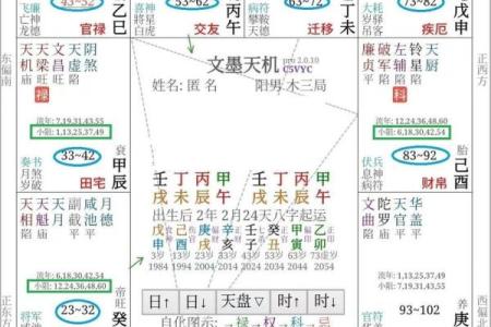 什么是紫薇星盘