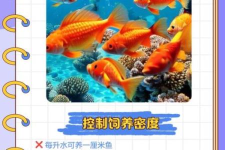 养金鱼有哪些风水讲究-