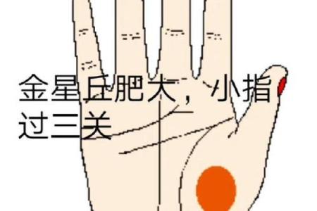 图解：手相金星环算命