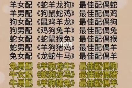 生辰八字能揭示你的生肖