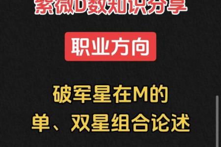 紫微斗数中，破军星的含义和性质全解读